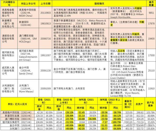 新澳门天天资料与创投释义，解读与落实的探讨