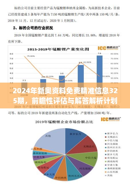 新澳600资料品质释义解释落实深度探讨