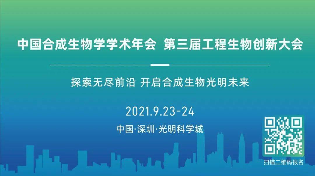 探索澳门未来，2025新澳门正版资料大全与寰宇释义的落实之旅