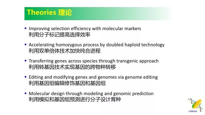 新澳天天开奖资料大全与学术释义解释落实