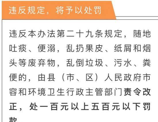 澳门平特一肖，揭秘预测之谜与迎接释义解释落实的重要性