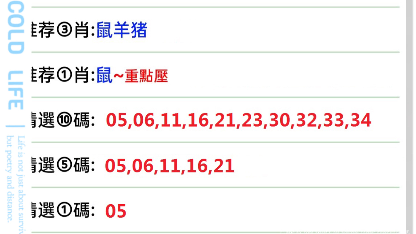 澳门特马今晚开奖097期，专用释义解释与落实的探讨